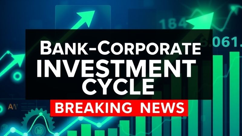 Bank-Corporate Investment Cycle - Article illustration 1